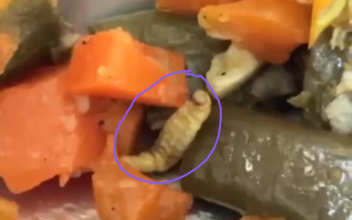 Thumbnail Berita - Beredar Video Ulat Sayur Menu MBG dari Dapur SPPG Montong Tuban