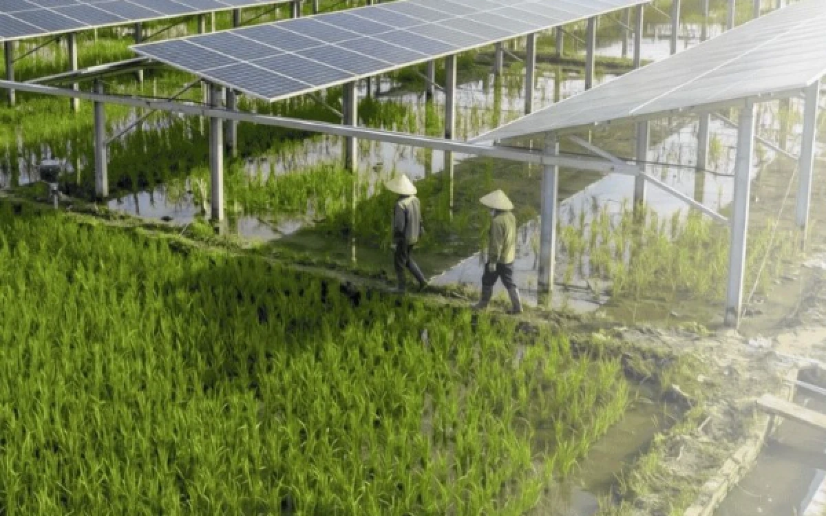 Thumbnail Berita - Bukti Komitmen! Pramuka Jatim Dorong Energi Terbarukan untuk Kesejahteraan Masyarakat