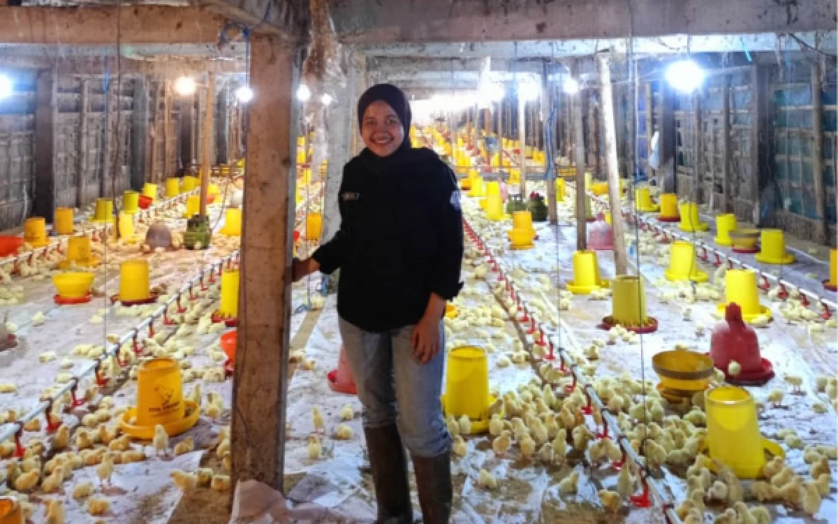 Thumbnail Berita - Lulusan Terbaik ITN Malang Optimalkan Peternakan Ayam dengan Ilmu Teknik Industri