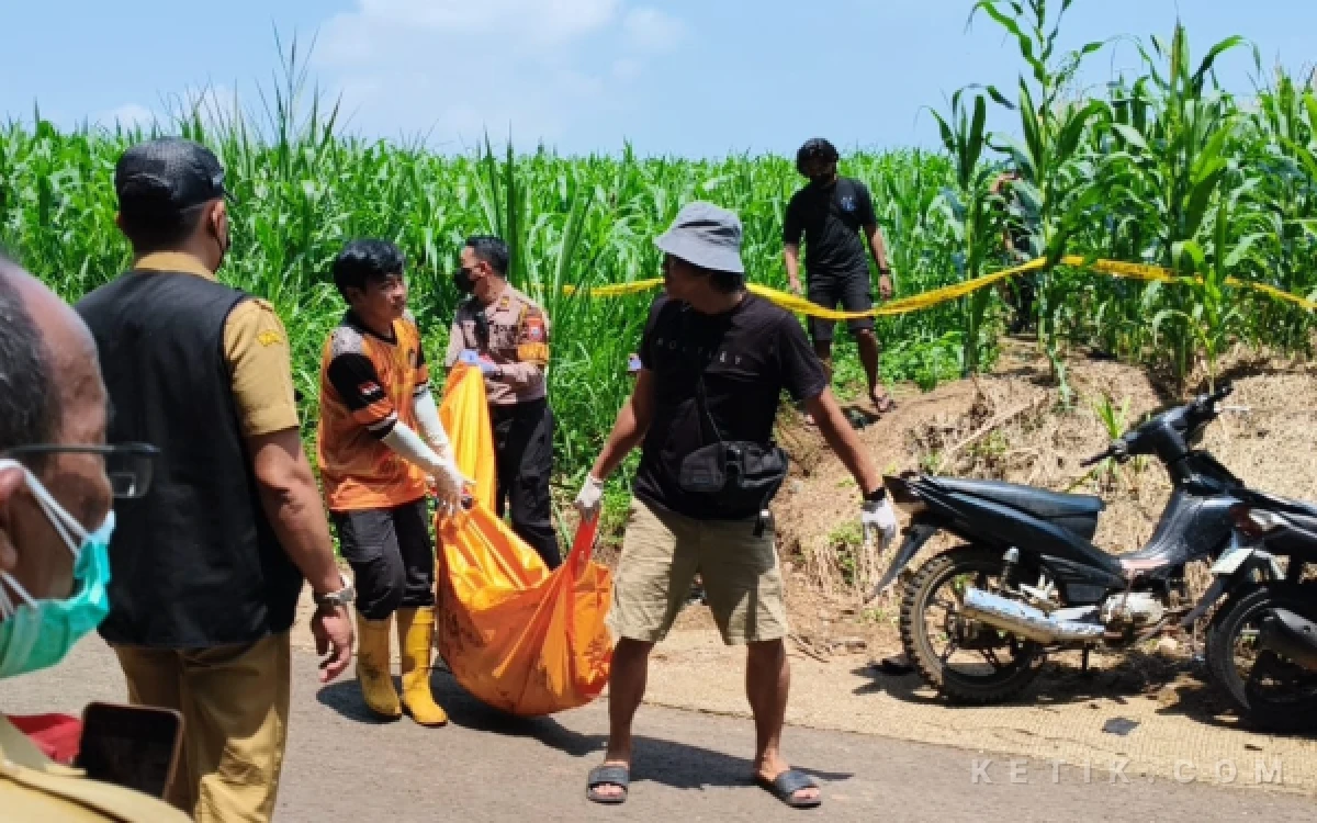 Thumbnail Berita - Penemuan Mayat Misterius di Hutan Wonosalam Jombang Gegerkan Warga