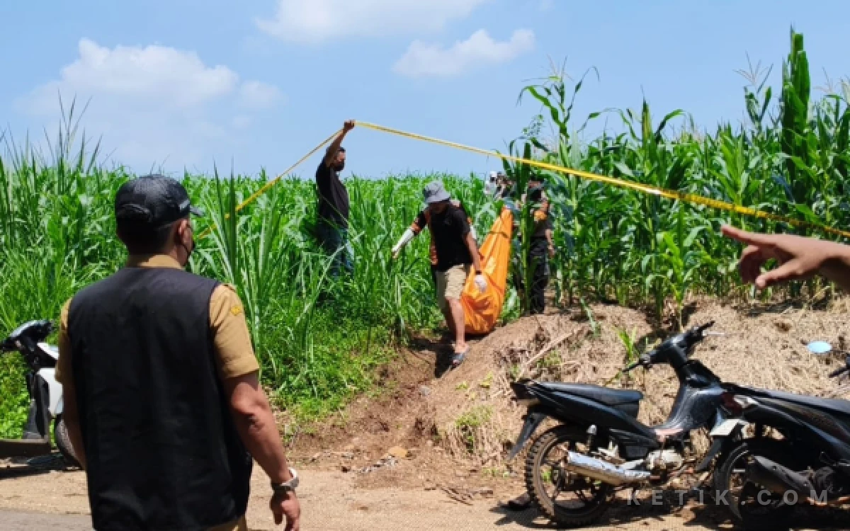 Thumbnail Berita - Ciri-Ciri Mayat Pria Tanpa Identitas di Wonosalam Jombang Terungkap, Polisi Temukan HP Korban sebagai Petunjuk