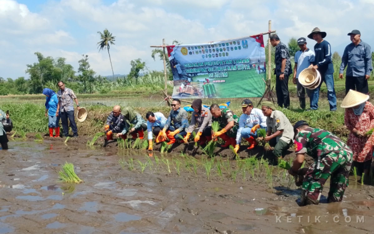 Thumbnail Berita - Jaga Stabilitas Harga Pangan, Wali Kota Malang Pimpin Penanaman Padi Serentak di Mulyorejo