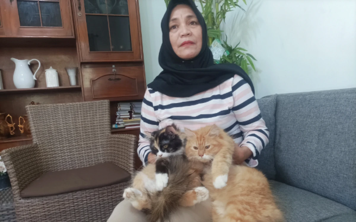 Thumbnail Berita - Kota Malang Geger! 8 Kucing Mati Misterius di Lesanpuro