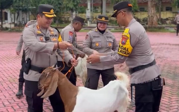 Kapolres Sumenep Lepas 54 Ekor Kambing ke Polsek Se-Sumenep, Ada Apa?