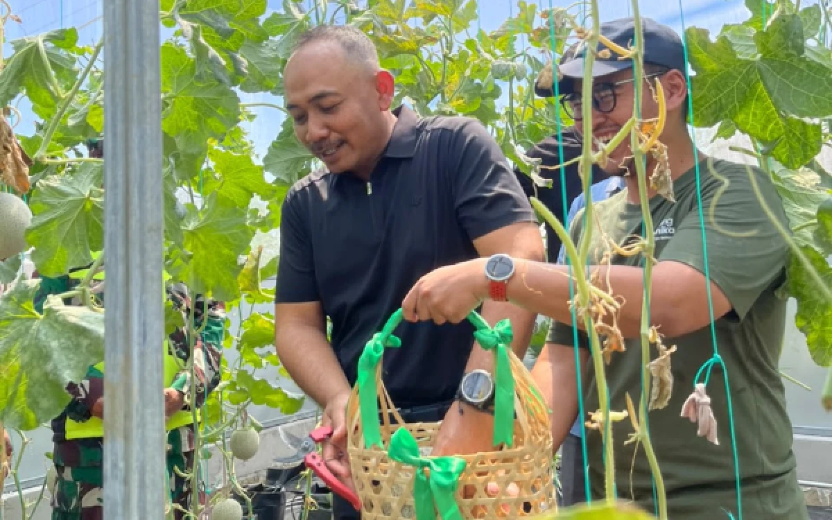 Thumbnail Berita - LadangArunika Pelopori Greenhouse Tanpa Limbah di Ngawi, Hadirkan Wisata Petik Melon Premium