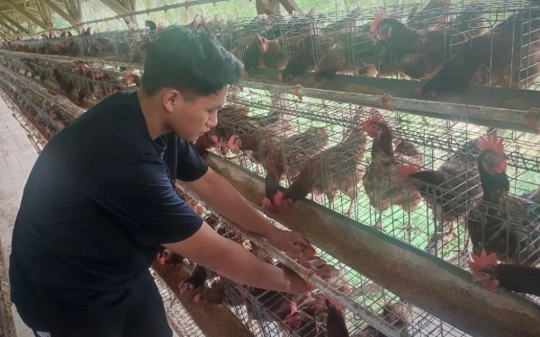 Thumbnail Berita - Trending Sepekan: Pemuda Pacitan Sukses Rintis Usaha Ayam Petelur hingga Dewan Kesenian Brebes Kecam Penggunaan BOS untuk Tiket Konser