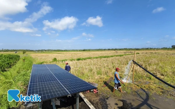 Thumbnail Pompa Air Tenaga Surya Lorentz, Solusi Pertanian Lebih Hemat, Ini Kelebihannya