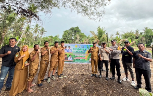 Thumbnail Pemdes Hidayat Bersama PWI, Tanam Jagung Sehektar Dukung Ketahanan Pangan dan Agromaritim