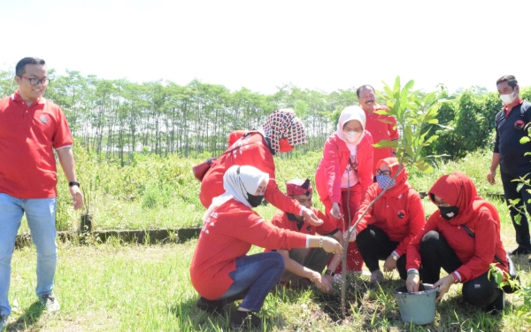 Thumbnail Berita - Peringati Hari Ulang Tahun Megawati, DPC PDIP Kabupaten Malang Tanam Pohon di Bibir Pantai Donomulyo