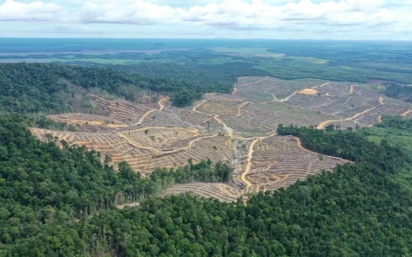 Pakar UGM Dorong Moratorium Tambang dan Perkebunan Usai Banjir Bandang di Sumatera