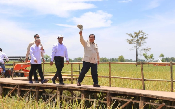 Thumbnail Indonesia Kembali Jadi Produsen Beras Tertinggi ASEAN, Thailand Tertekan