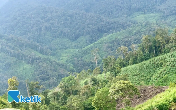 Thumbnail Berita - KTH Tuah Seudong Rimba Dapat Dukungan Lembaga Internasional, HL Babahrot Siap Jadi HKm