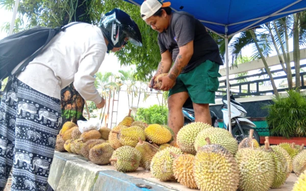 Thumbnail Berita - Musim Durian, Lapak di Selatan TMP Pacitan Laris Manis hingga 300 Buah per Hari