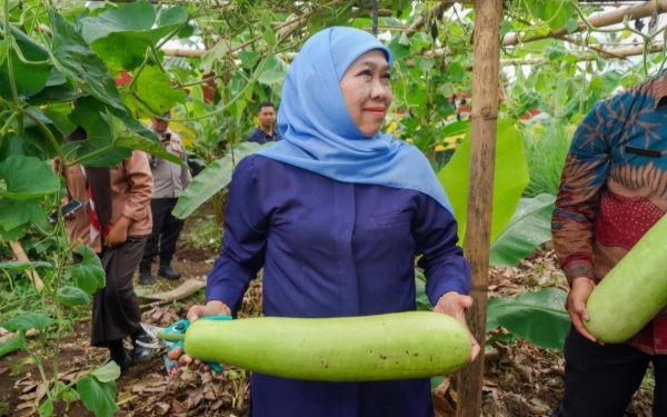 Thumbnail Khofifah Kagum! SMAN 1 Dampit Malang Siap Jadi Percontohan Ketahanan Pangan Berbasis Sekolah