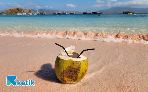 Thumbnail Berita - Segarnya Kelapa Muda di Long Beach Komodo! Ini Kisah Marina Sang Pejuang Dahaga bagi Wisatawan