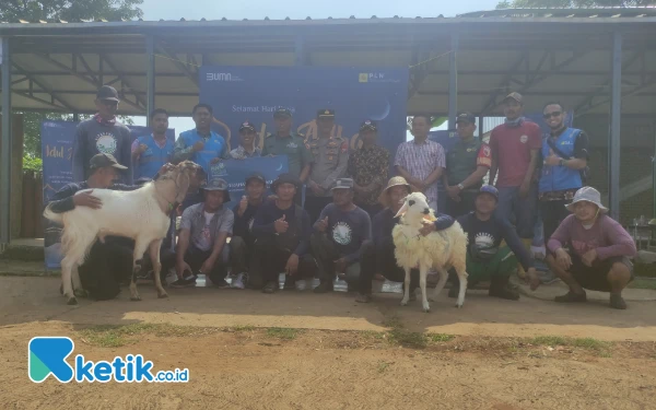 Thumbnail Puluhan Hewan Kurban Diserahkan PLN Nusantara Power Tanjung Awar-Awar ke Masyarakat