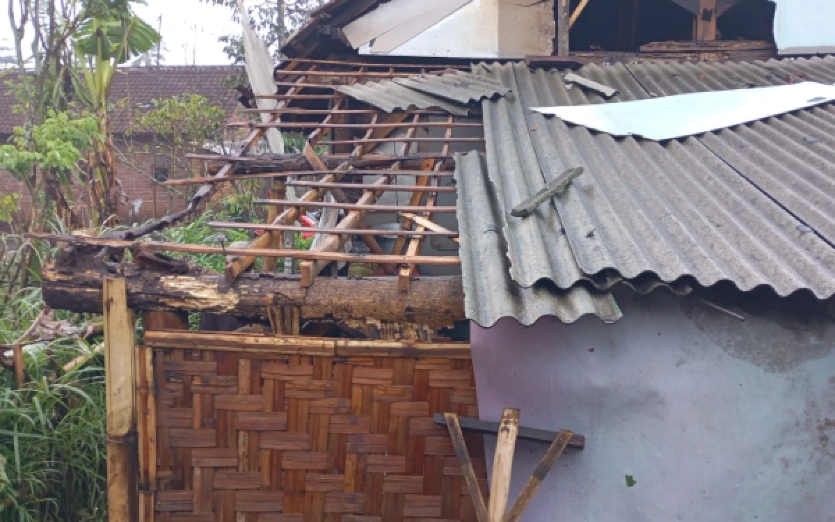Thumbnail Berita - Angin Kencang Terjang Singosari Malang, 14 Bangunan Rusak Kerugian Capai Rp28,59 Juta