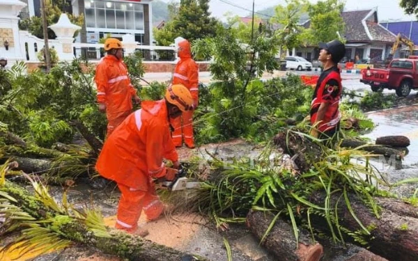 Thumbnail Berita - Hujan Lebat-Angin Kencang Terjang Pacitan saat Awal Tahun, Pohon Roboh Terjadi di Berbagai Titik
