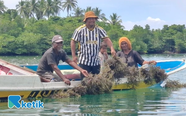 Thumbnail Desa Laluin Rumput Laut dan Agromaritim Bassam-Helmi, Sejalan Asta Cita Prabowo Subianto