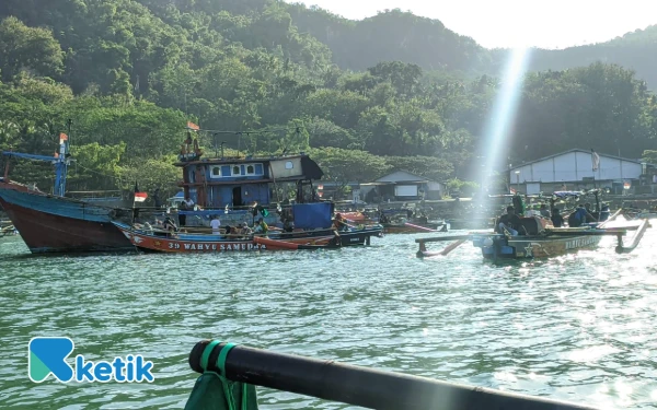 Thumbnail Berita - Harga Benur di Pacitan Tak Kunjung Stabil, Kini Tiarap Lagi di Angka Rp4 Ribu