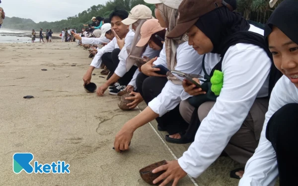 Thumbnail Ratusan Tukik 'Balapan' ke Laut! Aksi Gemas Volunteer BBF 2025 Selamatkan Ibu Kota Penyu