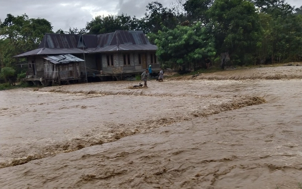 Thumbnail Nagekeo Berduka: 3 Korban Hilang, Pencarian Terhambat! Update Banjir Bandang NTT