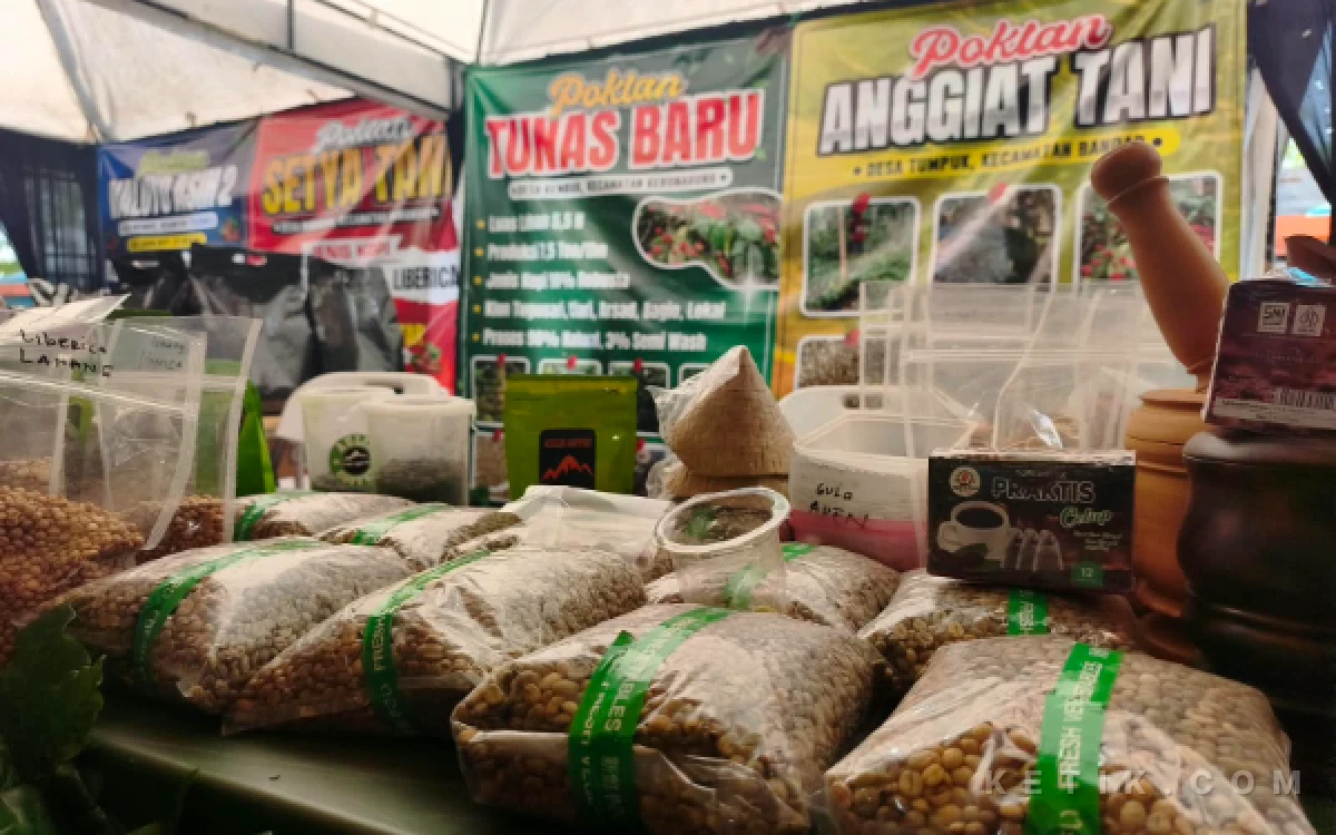 Thumbnail Berita - Intip Empat Kopi Lokal yang Mejeng di Festival Kopi Pacitan, Dibanderol Mulai Rp70 Ribuan
