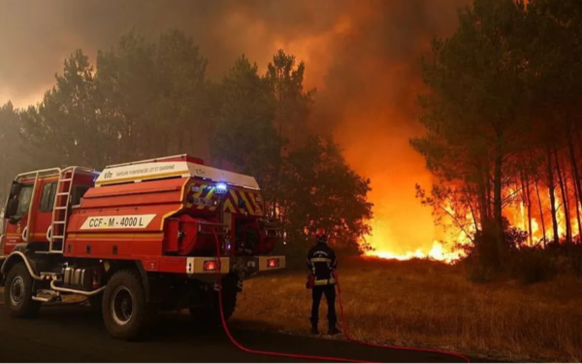 Thumbnail Berita - Prancis dan Spanyol Berpacu Padamkan Kebakaran Hutan, Lebih dari 90 Ribu Hektare Lahan Hangus