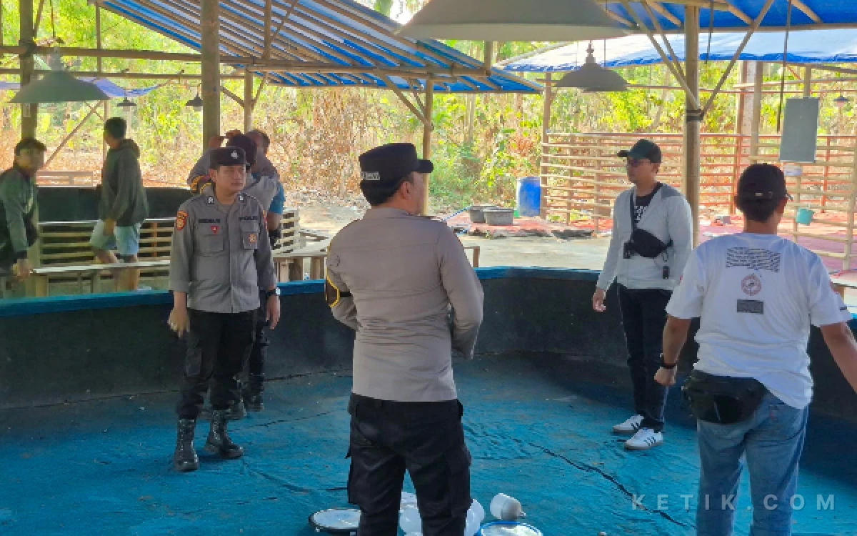 Thumbnail Berita - Polisi Tindaklanjuti Aduan Sabung Ayam di Srengat, Arena Sudah Sepi dan Perlengkapan Dimusnahkan