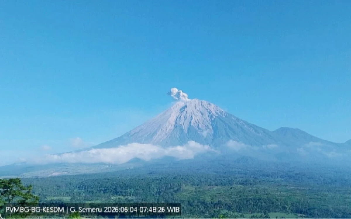 Thumbnail Berita - Pagi Ini Semeru Kembali Erupsi, Warga Diminta Tidak Panik