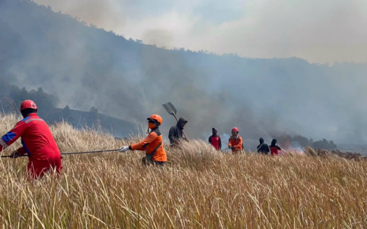 Thumbnail Berita - Wisata Gunung Bromo Ditutup Total Akibat Kebakaran Meluas
