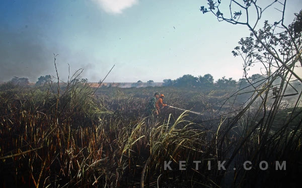 Thumbnail Berita - Kemenhut Sanksi 6 Perusahaan Imbas Karhutla Kalbar, 1 Izin Dibekukan