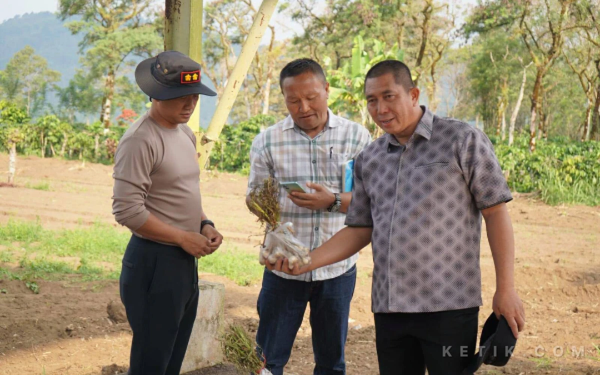 Thumbnail Berita - Siapkan 10 Hektar Lahan Bawang Putih, Dukung Swasembada Pangan Nasional