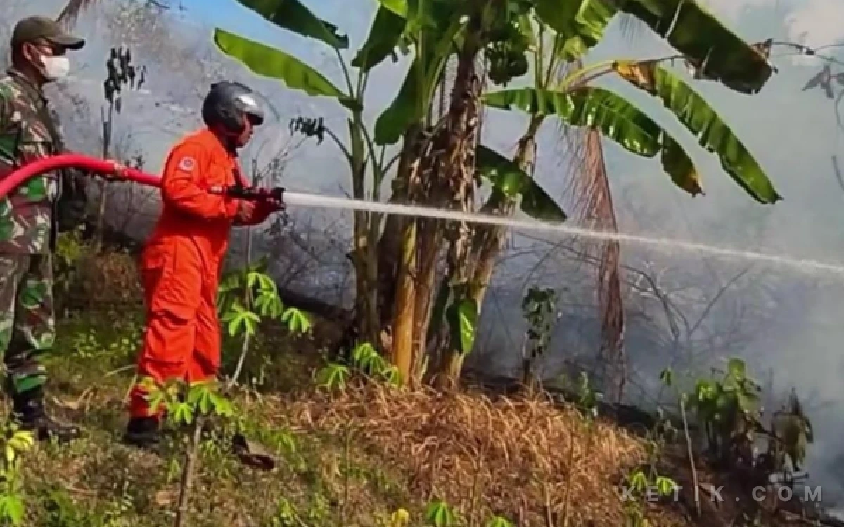 Thumbnail Berita - Lahan Pertanian Seluas 2.000 Meter Persegi Terbakar di Pacitan, Diduga Dipicu Cuaca Ekstrem