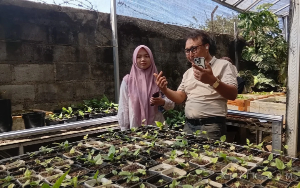 Thumbnail Berita - Hobi Berkebun Berbuah Cuan, Plant Nursery RT 05 Jadi Andalan Proklim Merjosari