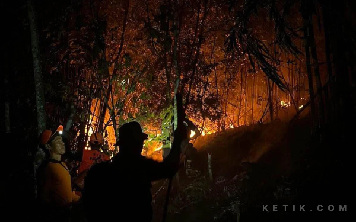 Thumbnail Berita - 7 Hektar Lahan Dilalap Si Jago Merah, Tim Gabungan Berjibaku Jinakan Karhutla