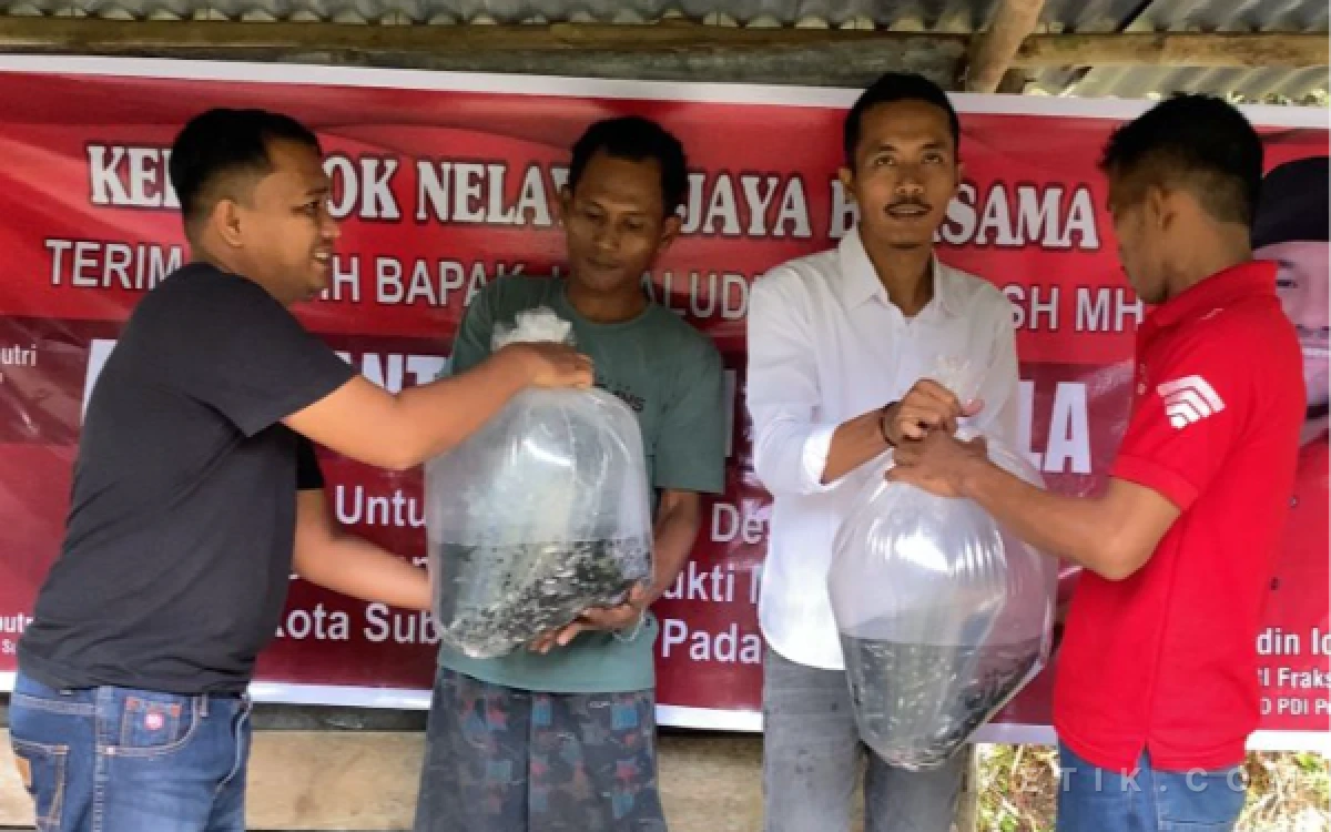 Thumbnail Berita - Jamaluddin Idham Salurkan Bantuan 3,7 Juta Bibit Ikan, Subulussalam yang Pertama