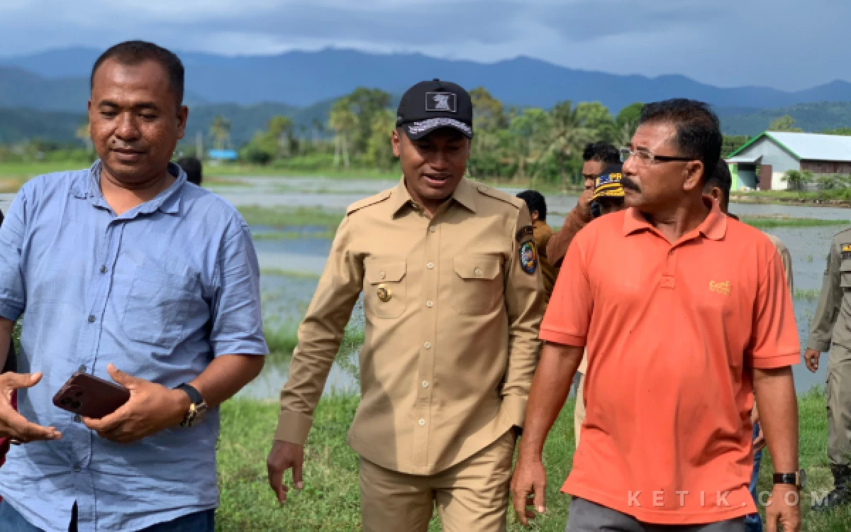 Thumbnail Berita - Sawah di Susoh Tergenang Luapan Drainase, Bupati Abdya Turunkan Alat Berat